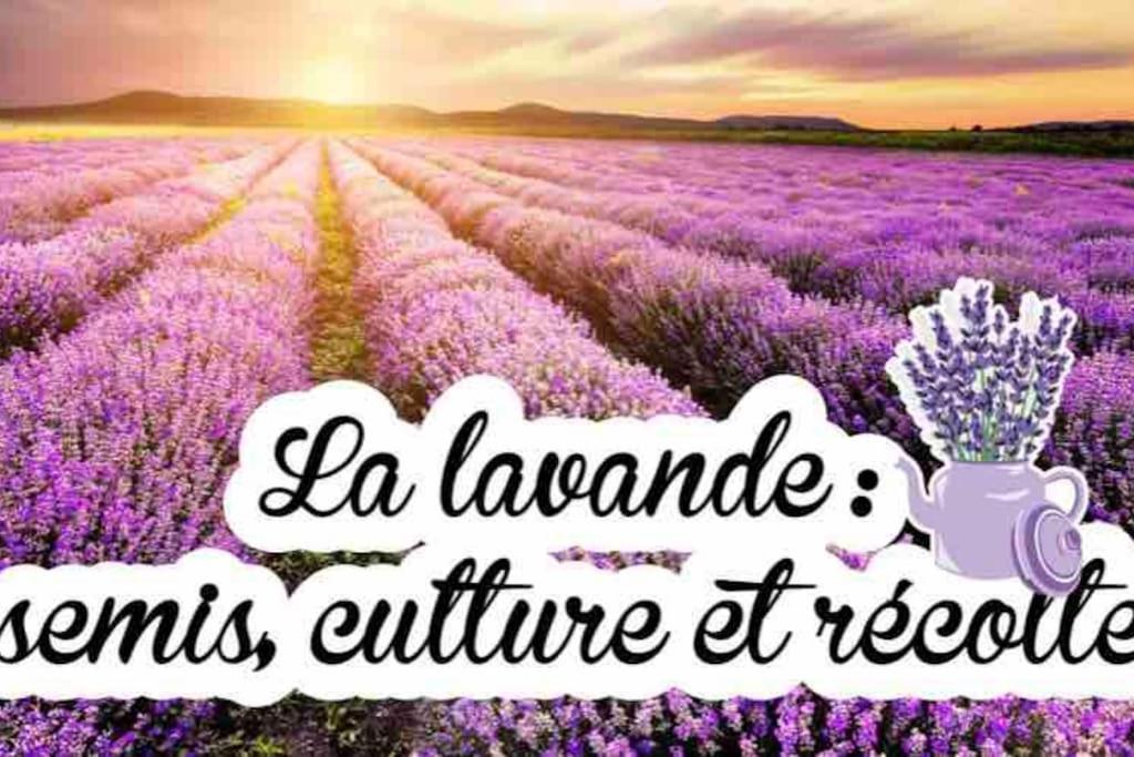 Gite De Charme Le Val Mellis Classe 3 Etoiles Dans La Douceur Provencale Vaumeilh Εξωτερικό φωτογραφία